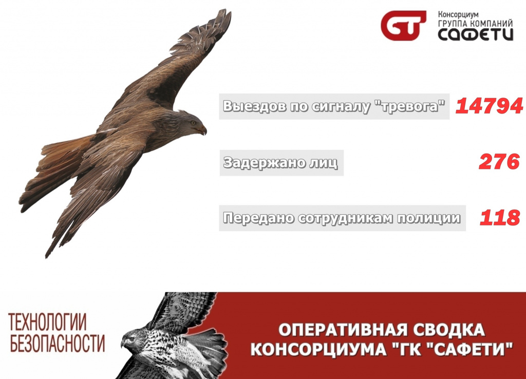 Стат3.jpg